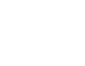 ChrisKing_Logo_White