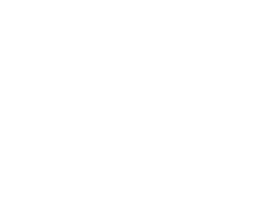 Sapim_Logo_White