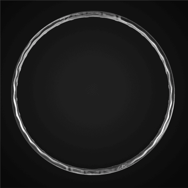 TR37 Rims: AM / Enduro