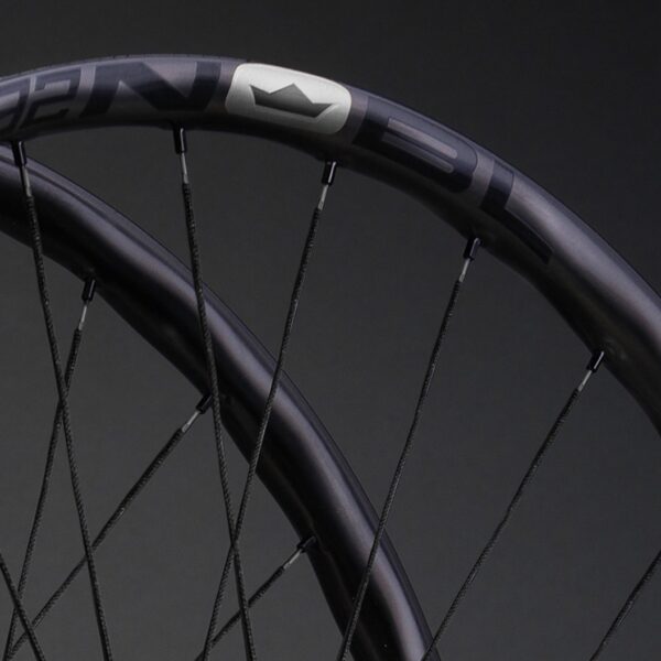 TR32 Erase Hook-Flange Berd 1269g Wheelset
