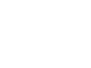 Project 321 Logo-NOBL-06