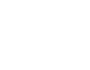 Berd_Logo_Vector-white