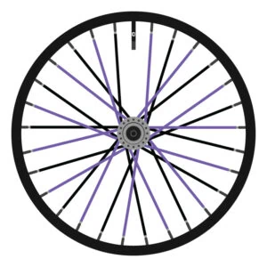 Berd Black and Purple (Alternating)