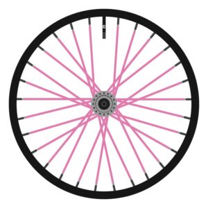 Berd Pink Paint (Full Color)