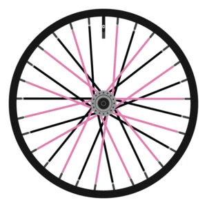 Berd Black and Pink (Alternating)