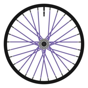 Berd Purple Paint (Full Color)