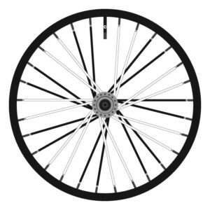 Black + White Spiral