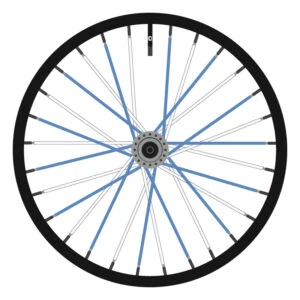 Berd White and Blue (Alternating)
