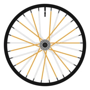 Berd White and Orange (Alternating)