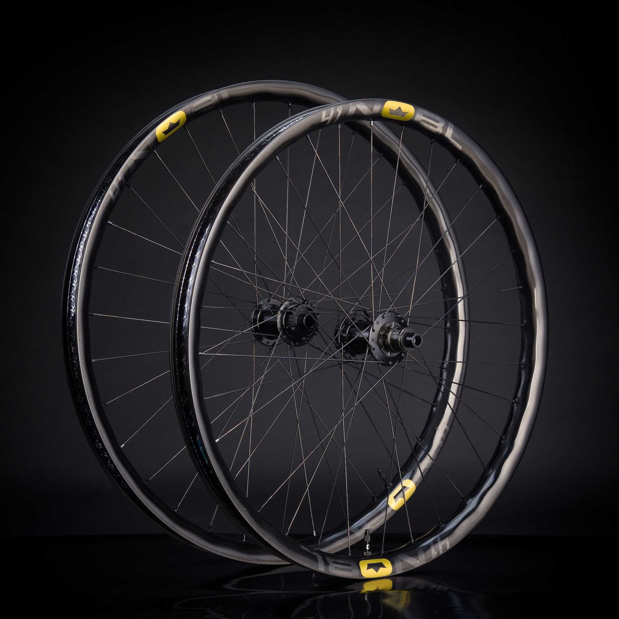 TR41_CrownOnly